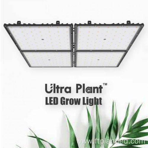 New APP Control Full Spectrum White Grow Light